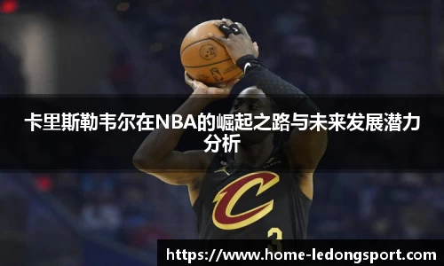 LD乐动体育